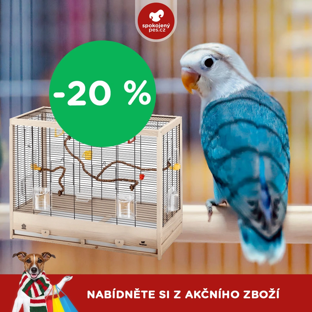 akční leden2_cz.webp